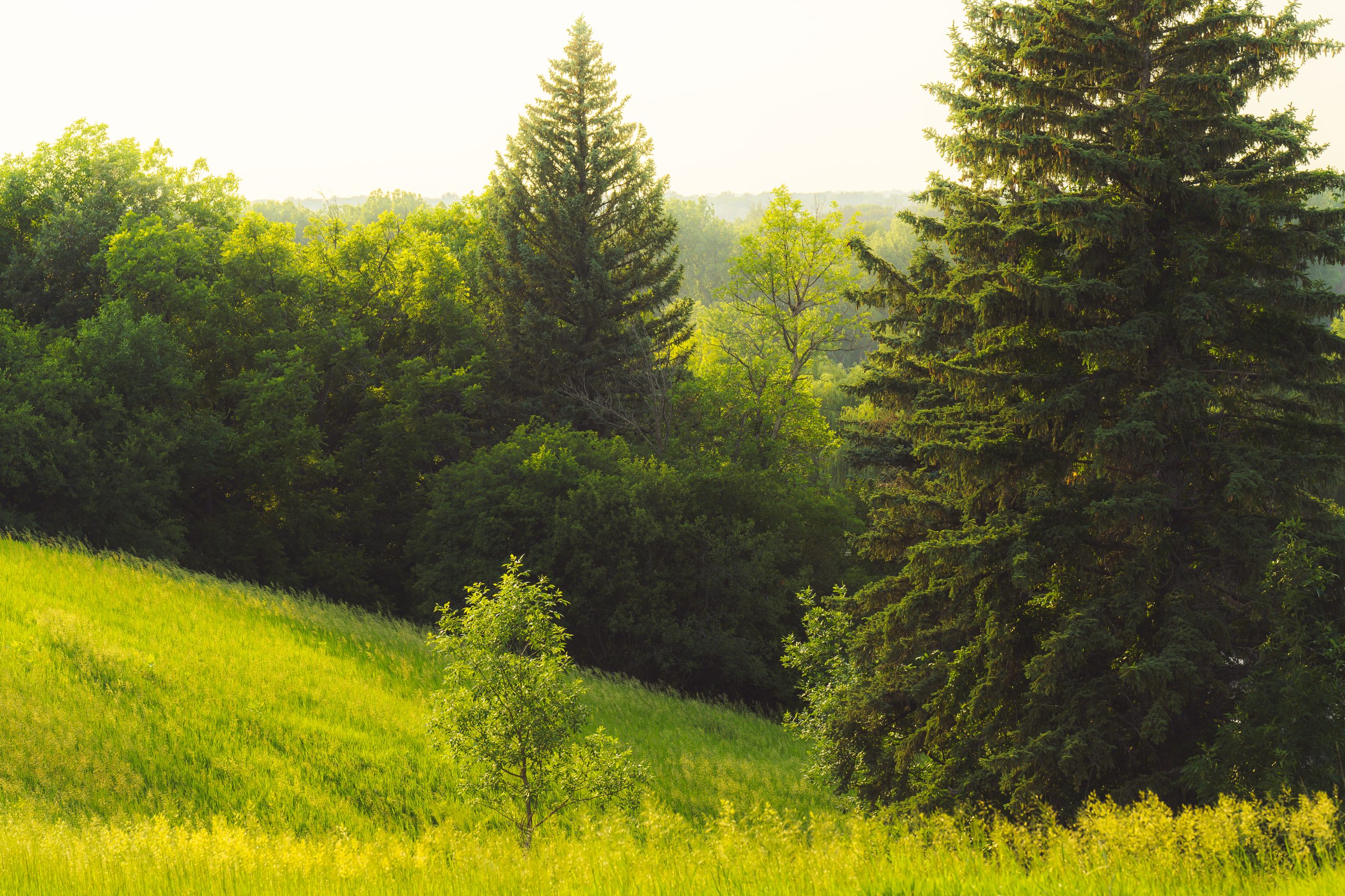 Landscape & Nature, frame 8 of 11.