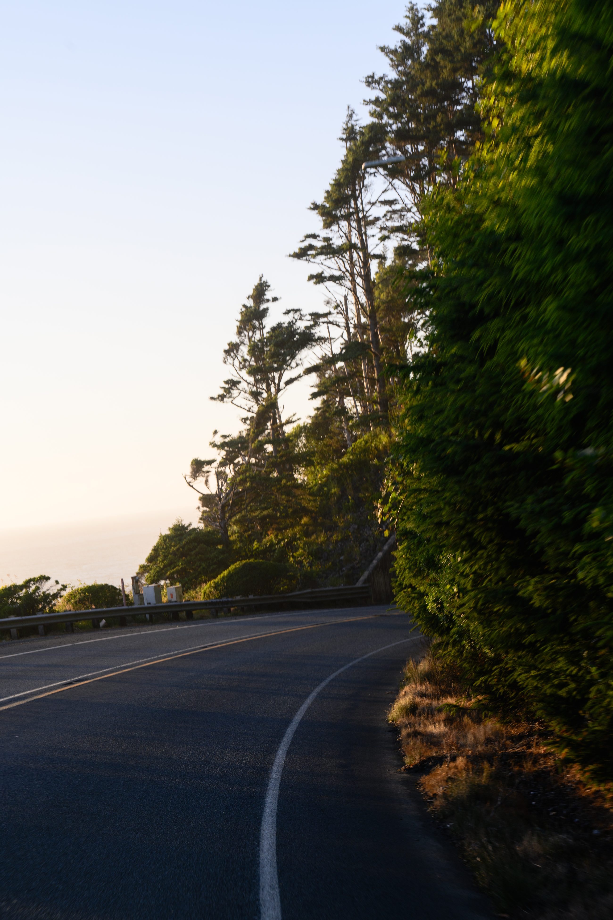Landscape & Nature, frame 11 of 11.