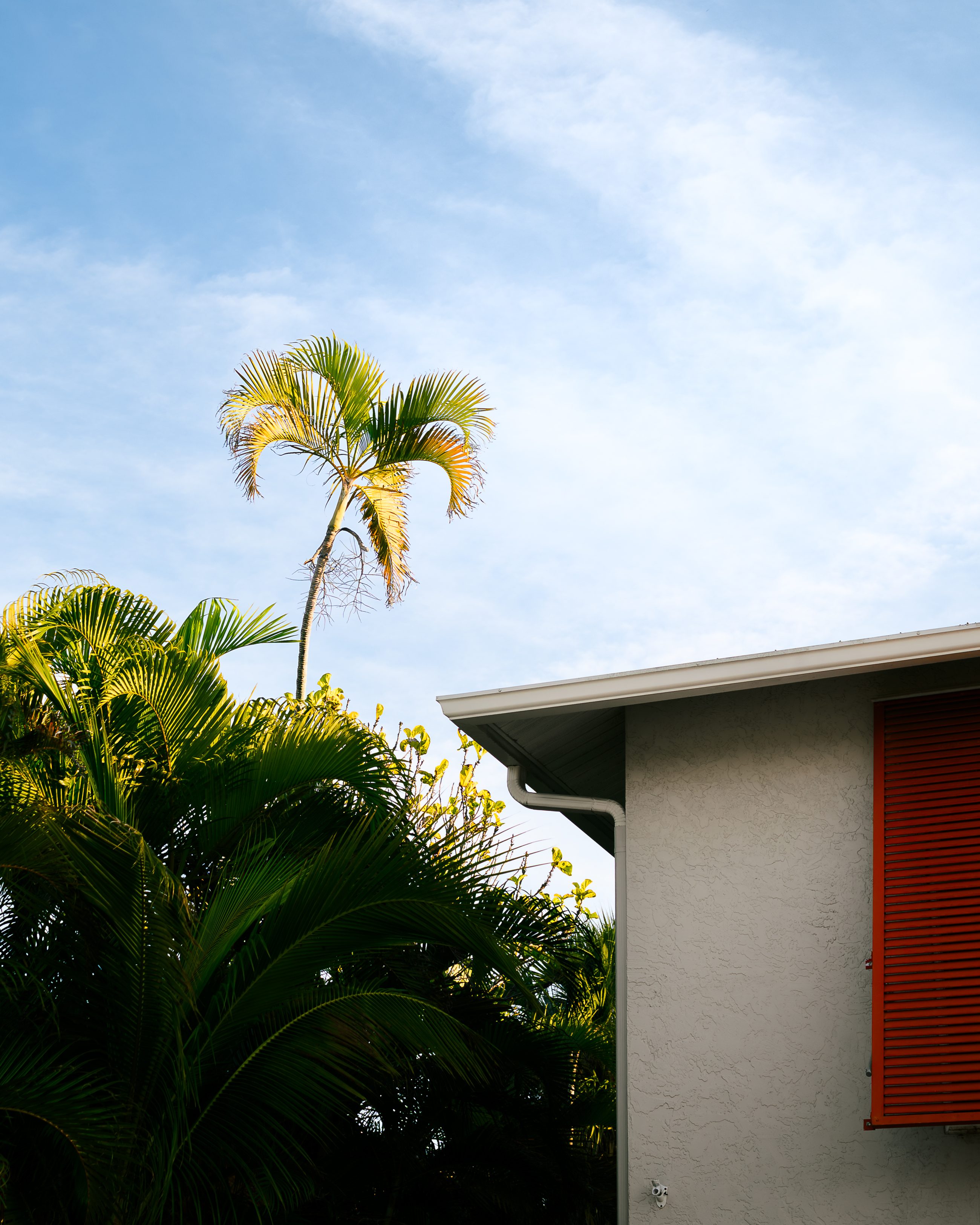 Landscape & Nature, frame 3 of 11.