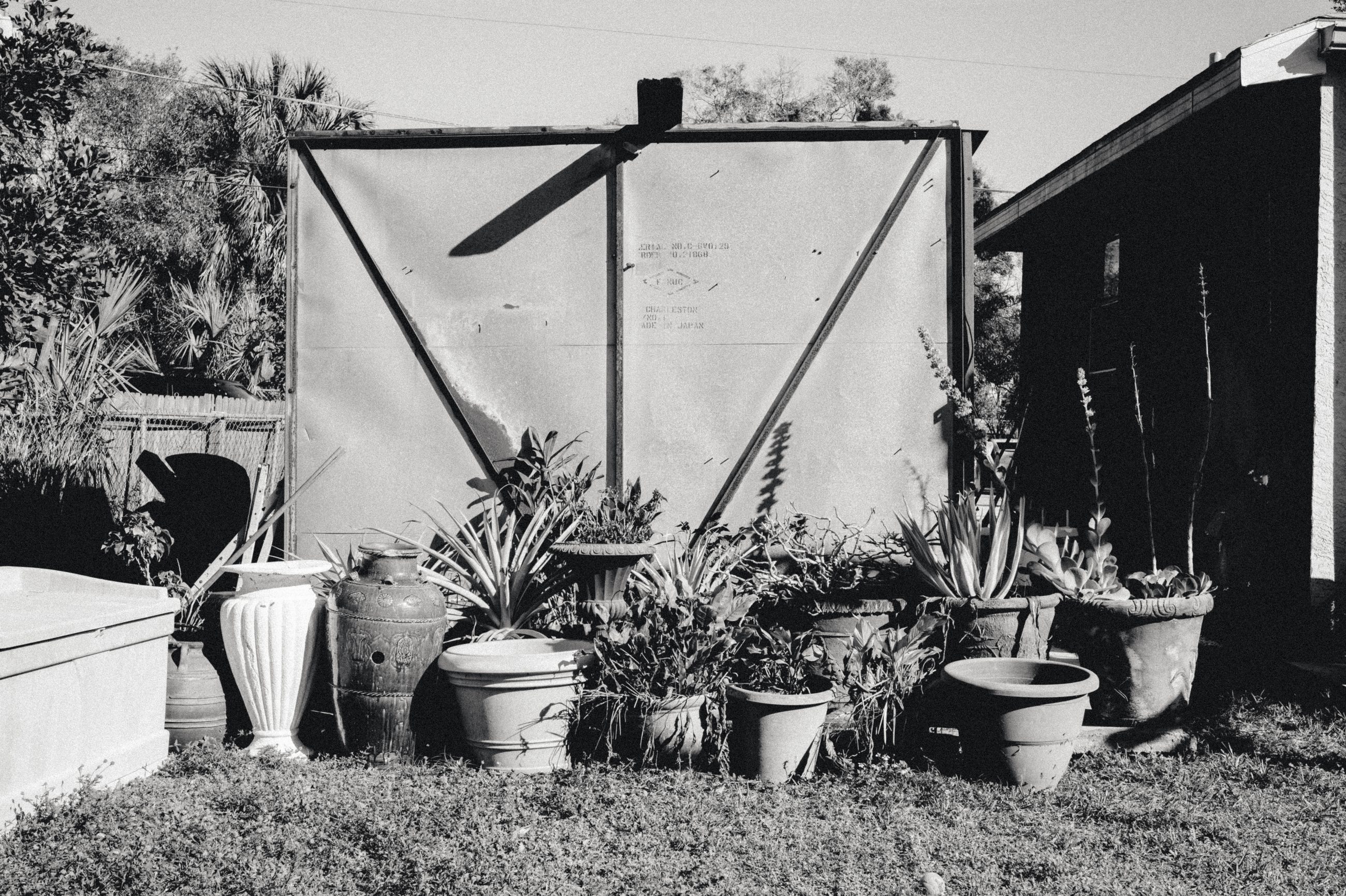 A long row of plants, every one of them in a pot, standing on the grass in front of a large panel and a ceiling fan fixed to a frame above. A dark shed stands at the right.